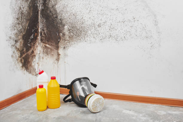 Best Residential Mold Removal  in Woodlake, VA