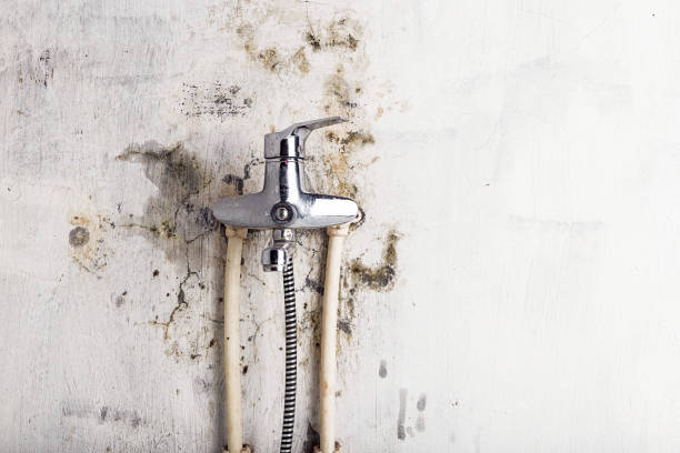 Best Mold Remediation Experts  in Woodlake, VA