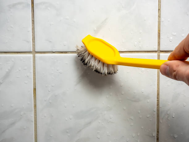 Best Commercial Mold Removal  in Woodlake, VA