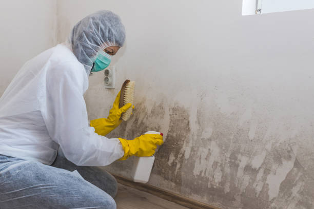 Best Best Mold Removal Companies  in Woodlake, VA