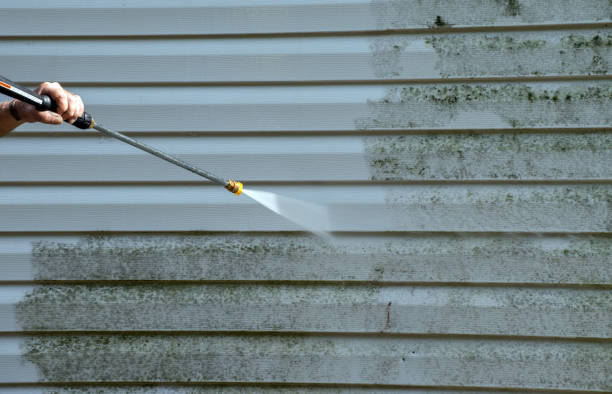 Best Mold Damage Repair  in Woodlake, VA