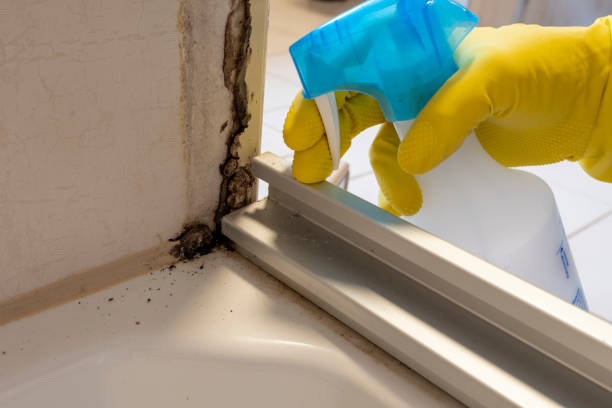 Best Commercial Mold Removal  in Woodlake, VA