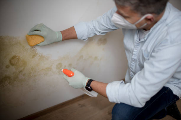 Best Crawl Space Mold Removal  in Woodlake, VA