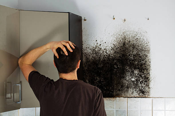 Best Mold Remediation Services  in Woodlake, VA
